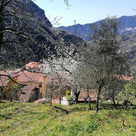 Il Metato Di Gallena Bed & Breakfast Stazzema Exterior photo