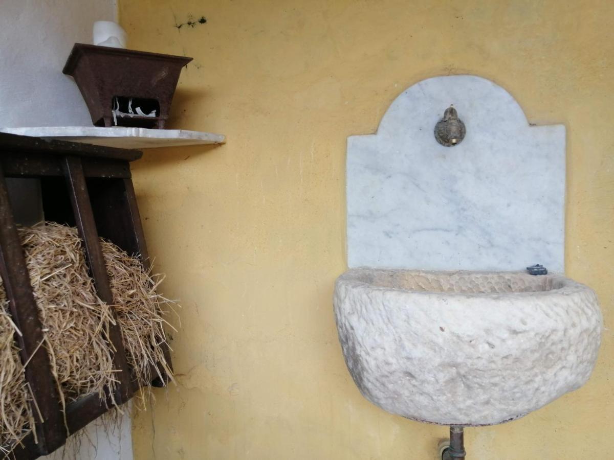 Il Metato Di Gallena Bed & Breakfast Stazzema Exterior photo