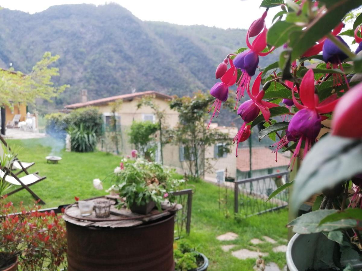 Il Metato Di Gallena Bed & Breakfast Stazzema Exterior photo