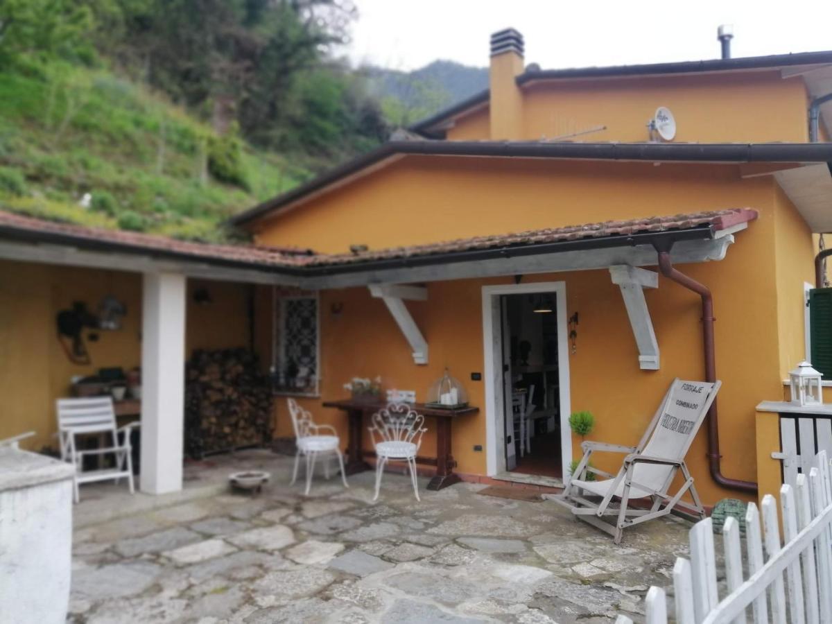Il Metato Di Gallena Bed & Breakfast Stazzema Exterior photo