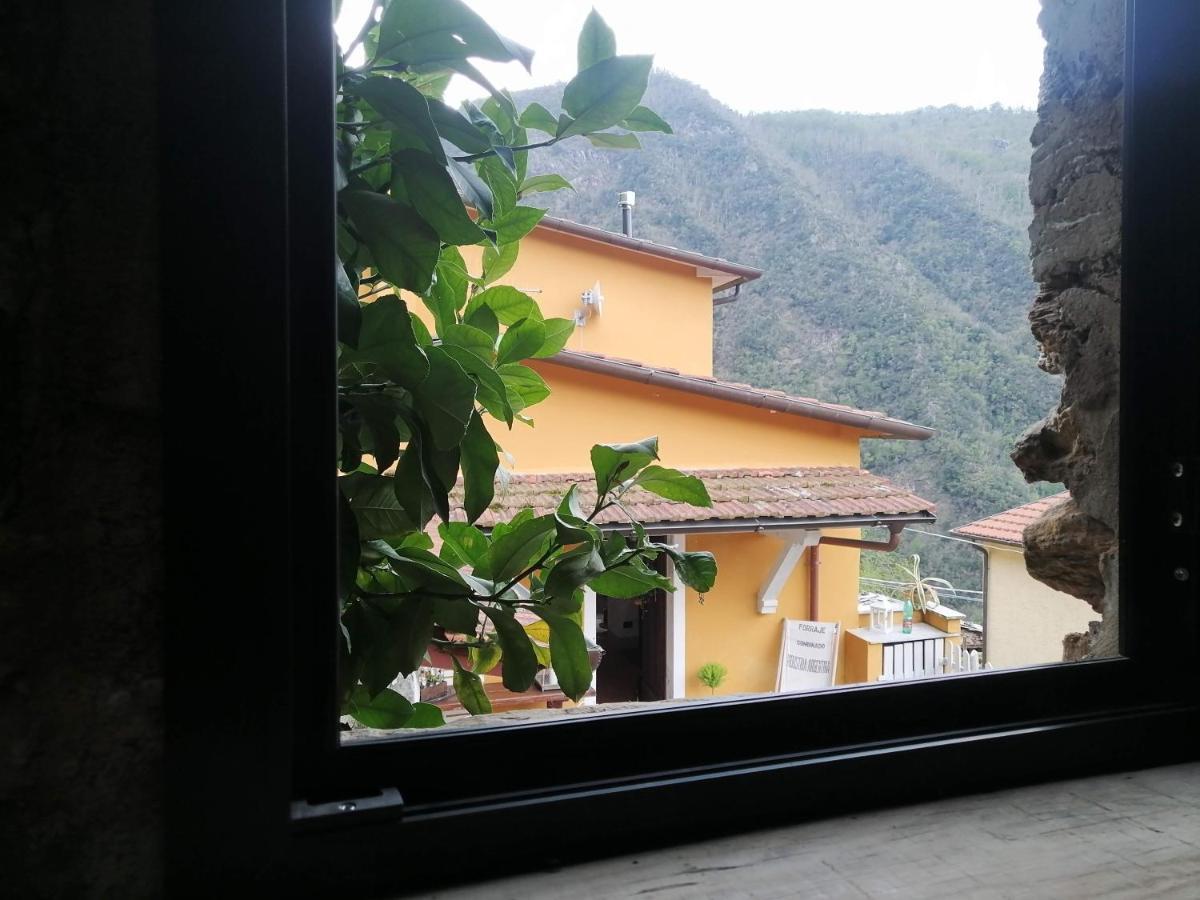 Il Metato Di Gallena Bed & Breakfast Stazzema Exterior photo