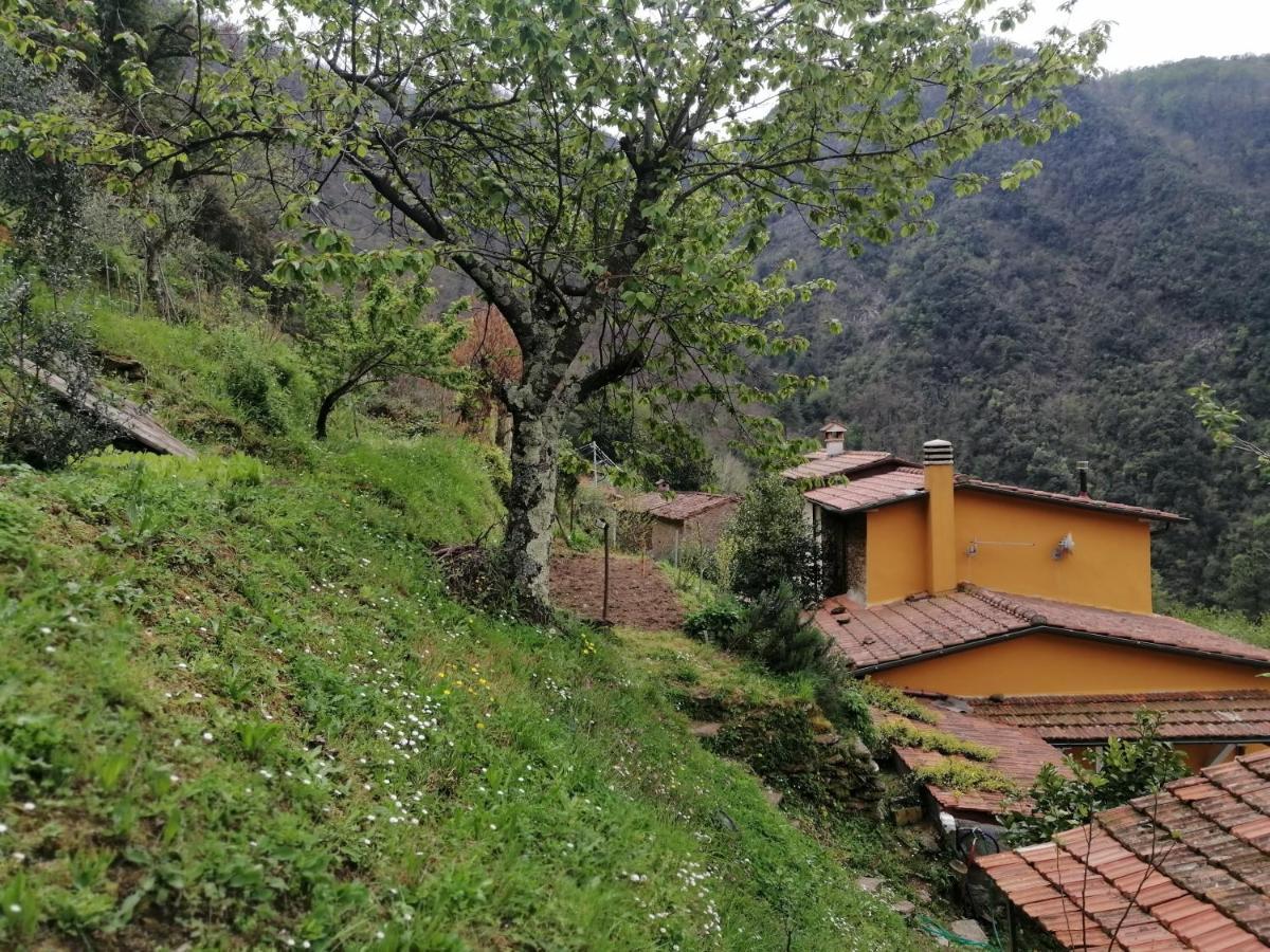 Il Metato Di Gallena Bed & Breakfast Stazzema Exterior photo