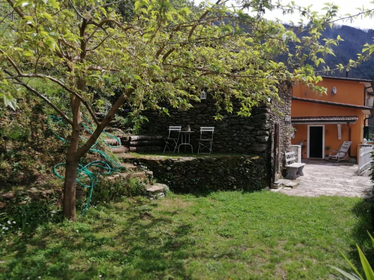 Il Metato Di Gallena Bed & Breakfast Stazzema Exterior photo