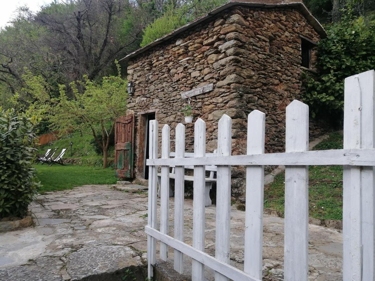 Il Metato Di Gallena Bed & Breakfast Stazzema Exterior photo
