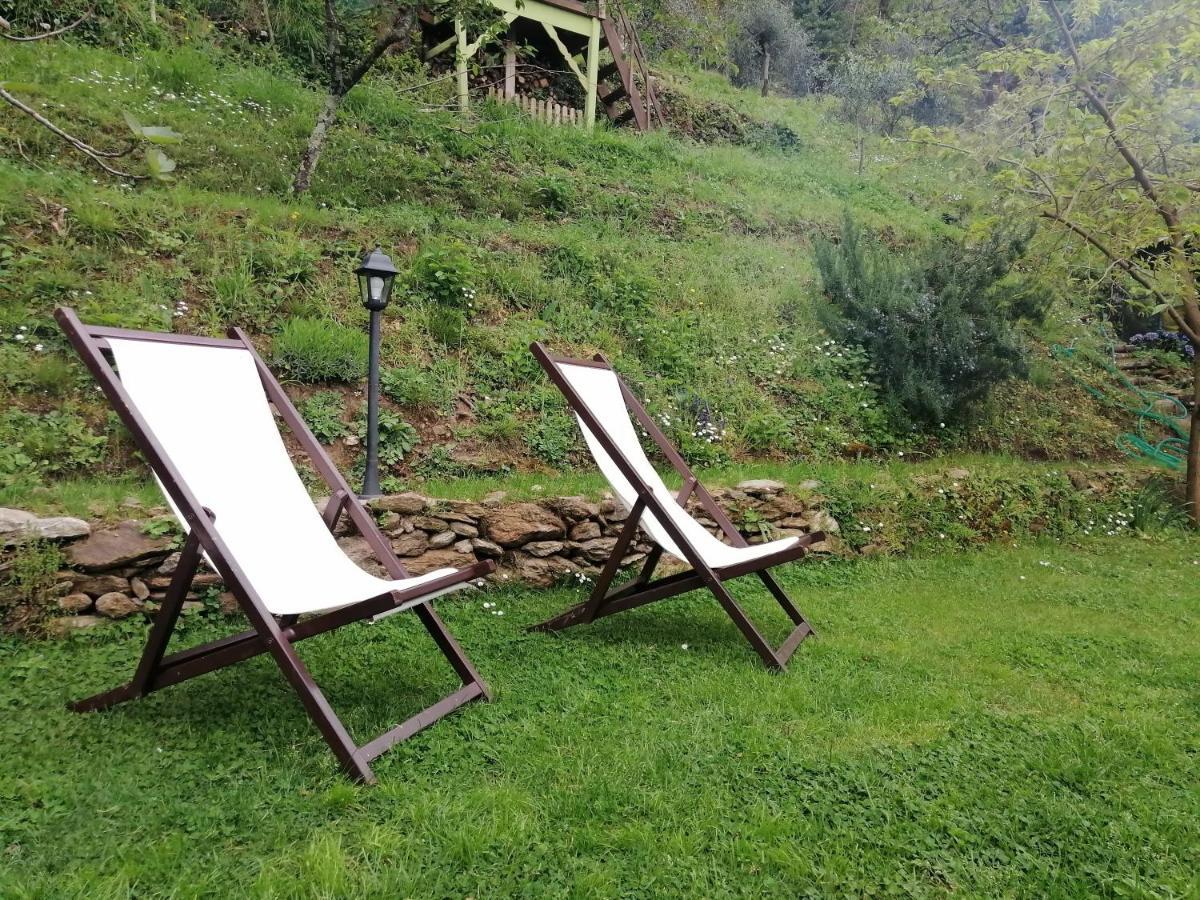Il Metato Di Gallena Bed & Breakfast Stazzema Exterior photo